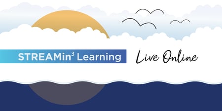 STREAMin3 Learning_Live Online